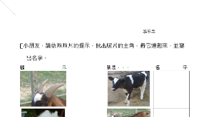 小山羊縮圖