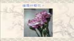 在媽媽的懷裡縮圖