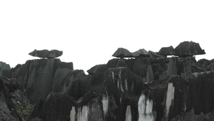 石頭上的大田鼠縮圖