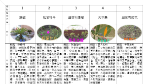元生國小資訊社群-校園植物生態數位化學習-花花草草蹦蹦跳縮圖