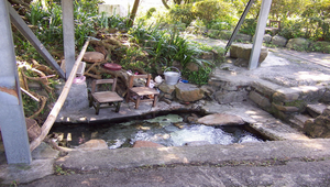 主題-員山鄉水之美--自然之美_0764縮圖