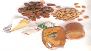 各類食物縮圖