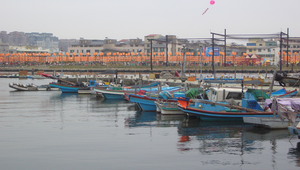 安平港口船隻縮圖