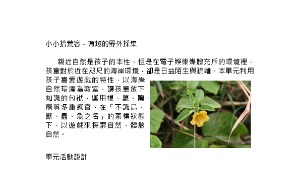 小小拾荒客