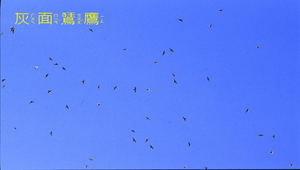 data\971縮圖