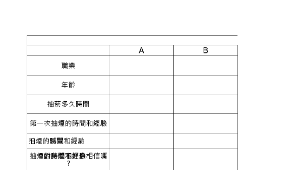 採訪結果統計表.xls縮圖