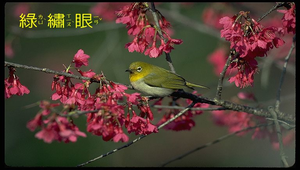 data\1020縮圖