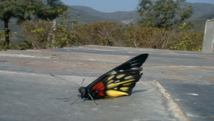 084685_513_20081213184414縮圖