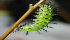 data\1469縮圖