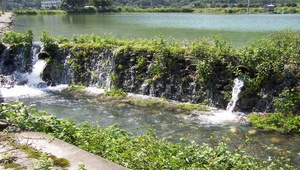主題-員山鄉水之美--自然之美_0771縮圖