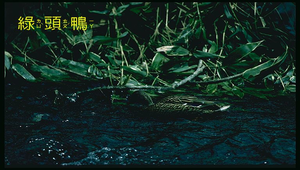 3-2 連比(南一版)縮圖