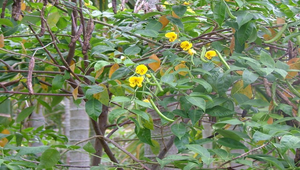 data\1562縮圖