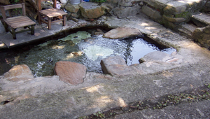 主題-員山鄉水之美--自然之美_0765縮圖