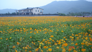 DSC01968縮圖