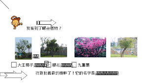TYC_rsc00000995縮圖