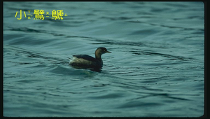 data\1128縮圖