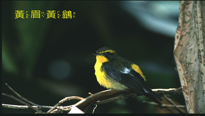 data\1083縮圖