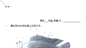 3-2 連比(南一版)縮圖