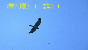 data\1148縮圖