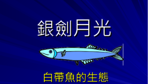 miaoli_1558_銀劍月光_教材縮圖