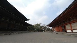 位於日本金都的東寺風光縮圖
