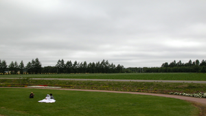 在日本北海道田園拍婚紗的新人縮圖