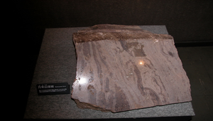 日本九州阿蘇火山爆發時噴出的火山彈1縮圖