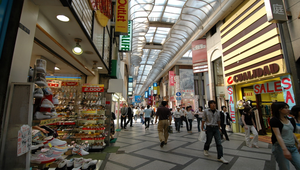 日本大版市區縮圖