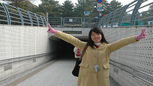 日本奈良公園的人行地下道縮圖