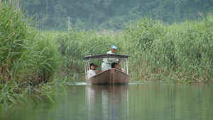 日本近江八藩手搖船縮圖