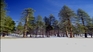 美國加州優勝美地國家公園之一縮圖