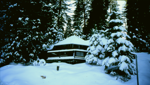 美國森林雪景縮圖