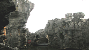 雲南石林之八縮圖