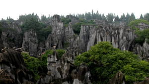 雲南石林之十一縮圖
