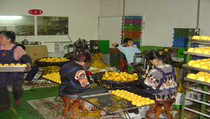 削除紅柿果皮縮圖