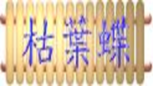 枯葉蝶縮圖