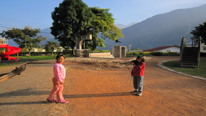 流感疫苗接種縮圖