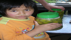 梅子完成品縮圖