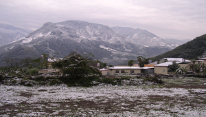 信義鄉的三月雪-3縮圖