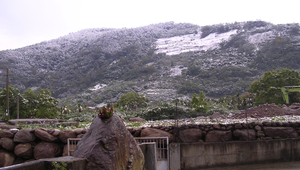 信義鄉的三月雪-2縮圖