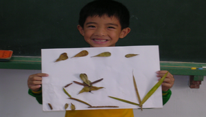 樹葉貼畫11縮圖