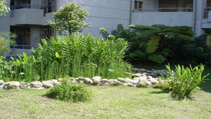 水生植物園-資源代表圖