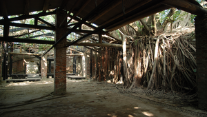 樹屋縮圖