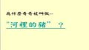 低年級-河魨當家縮圖