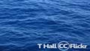 唷吼！大海與我縮圖