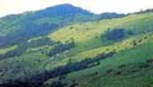 宜蘭縣本土教材 | 第八章高海拔生態環境 縮圖