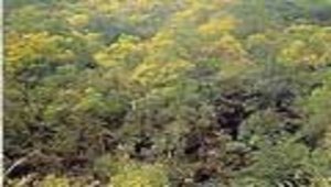 宜蘭縣本土教材 | 第九章 中低海拔生態環境 -資源代表圖