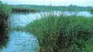 宜蘭縣本土教材 | 第十章 河口海岸生態環境 -資源代表圖