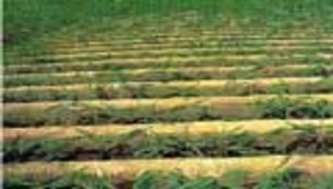 宜蘭縣本土教材 | 第十二章 資源與土地利用 -資源代表圖