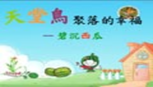 天堂鳥聚落的幸福－碧沉西瓜縮圖